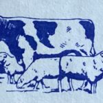A drawing of a cow and three sheep in blue ink on a pale blue background